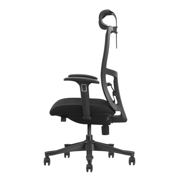 SKILLCHAIRS Ergo Apricity SKILLCHAIRS Ergo Apricity